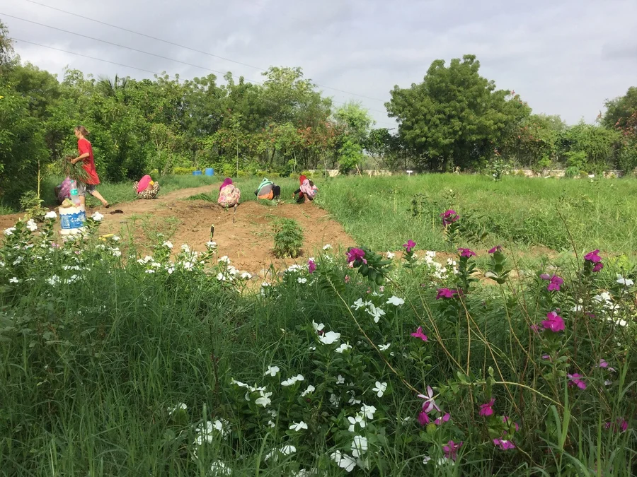 taming the jungle on the last day of the month